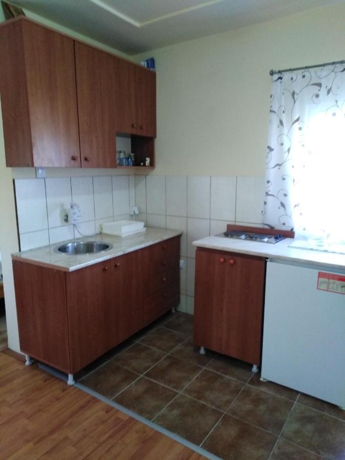 Apartman Sasa Banja Koviljaca Ngoại thất bức ảnh
