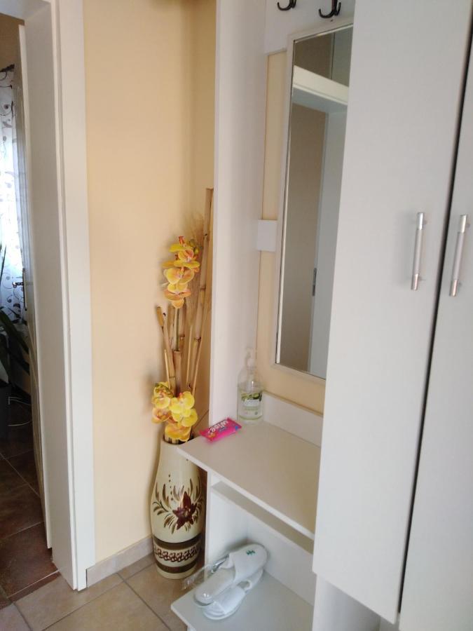 Apartman Sasa Banja Koviljaca Ngoại thất bức ảnh