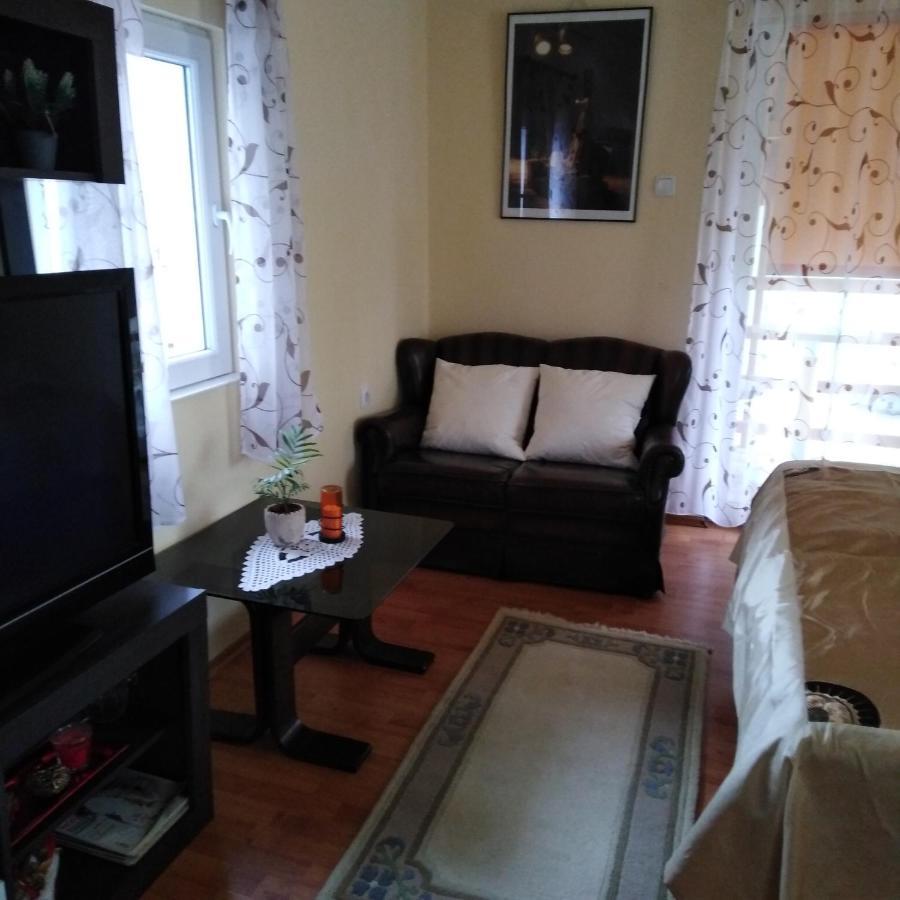 Apartman Sasa Banja Koviljaca Ngoại thất bức ảnh
